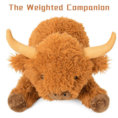 Kodami Highland Weighted Cow